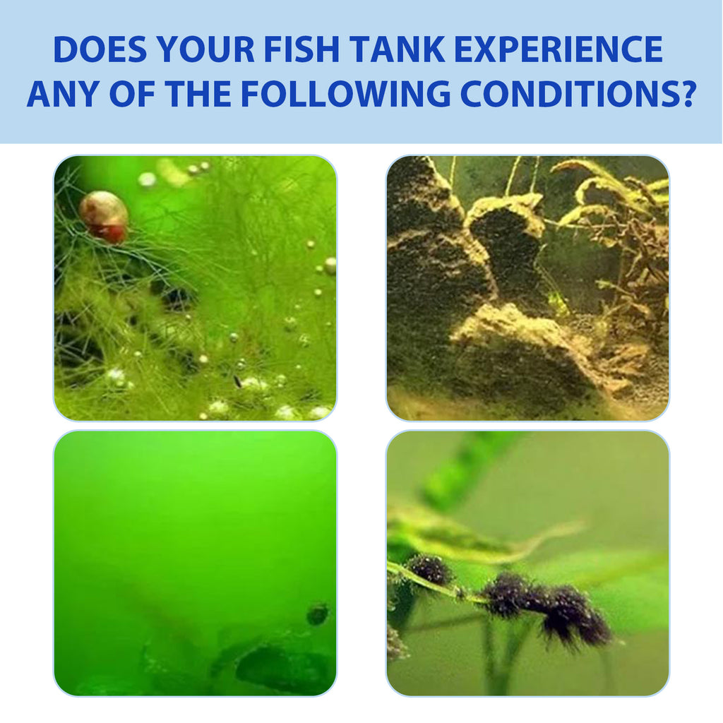 Yegbong Fish Tank Water Purifier Removes Algae Powder, Clean Fish Tank Remove Moss Algae Net Water Quality Instant Algae Removal Powder