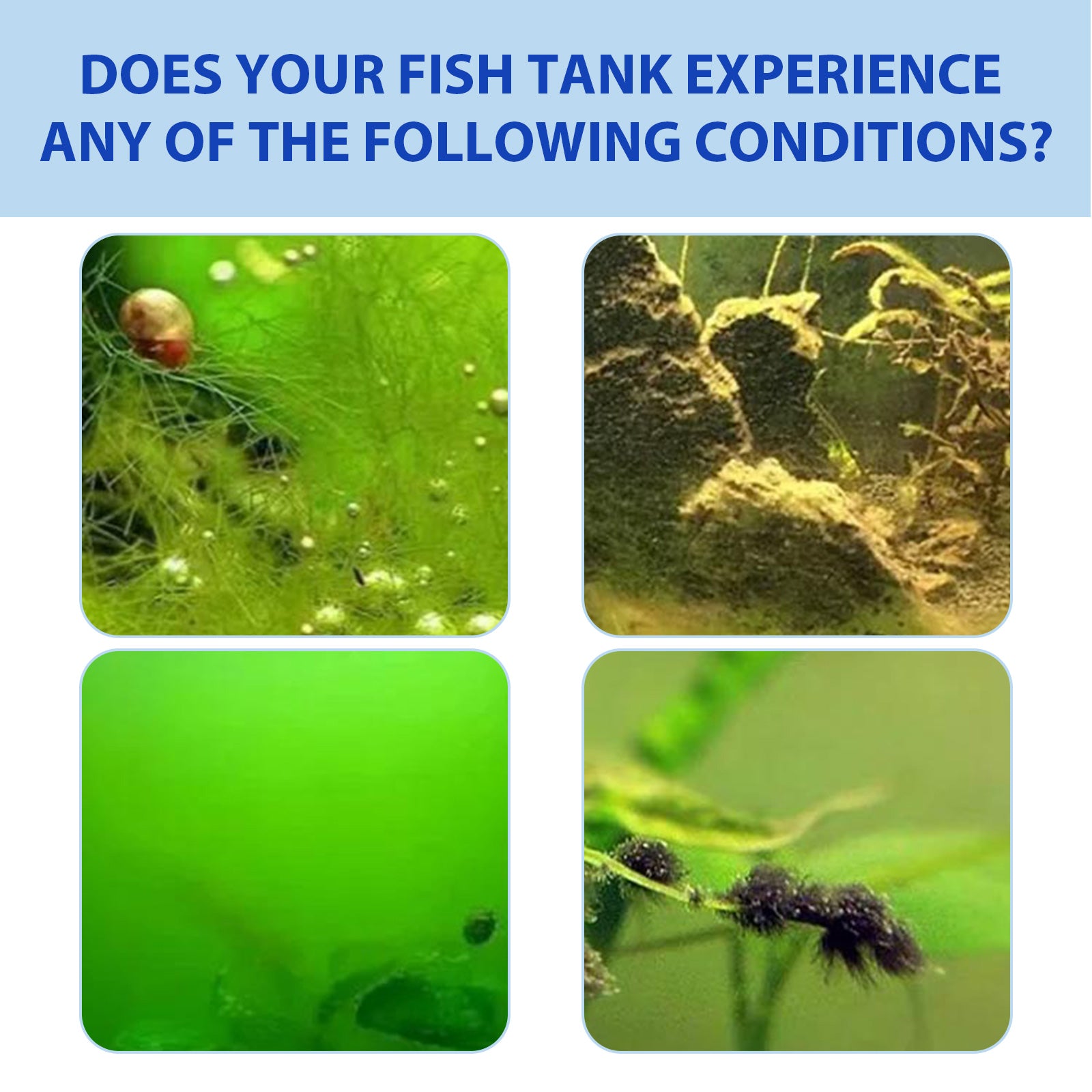 Yegbong Fish Tank Water Purifier Removes Algae Powder, Clean Fish Tank Remove Moss Algae Net Water Quality Instant Algae Removal Powder