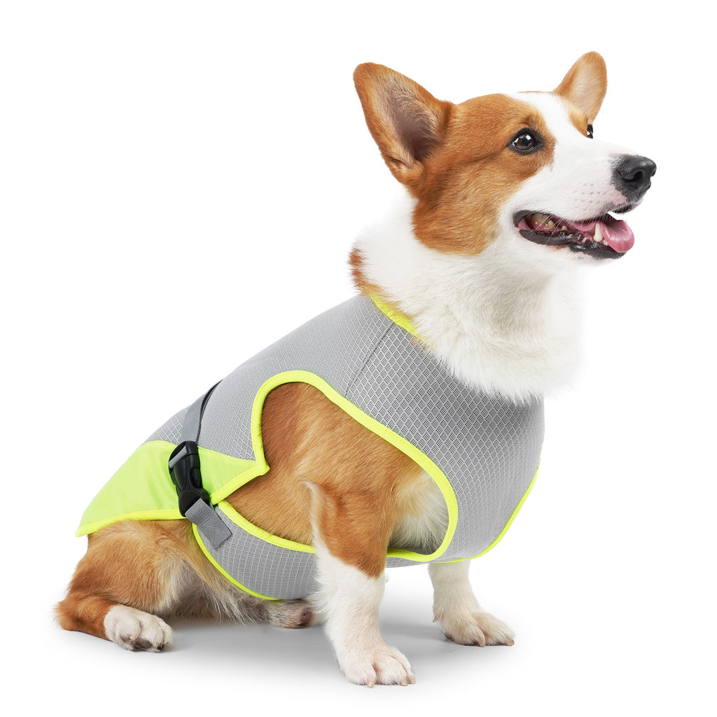 Cooling Vest for Dogs – Lightweight Summer Pet Wear