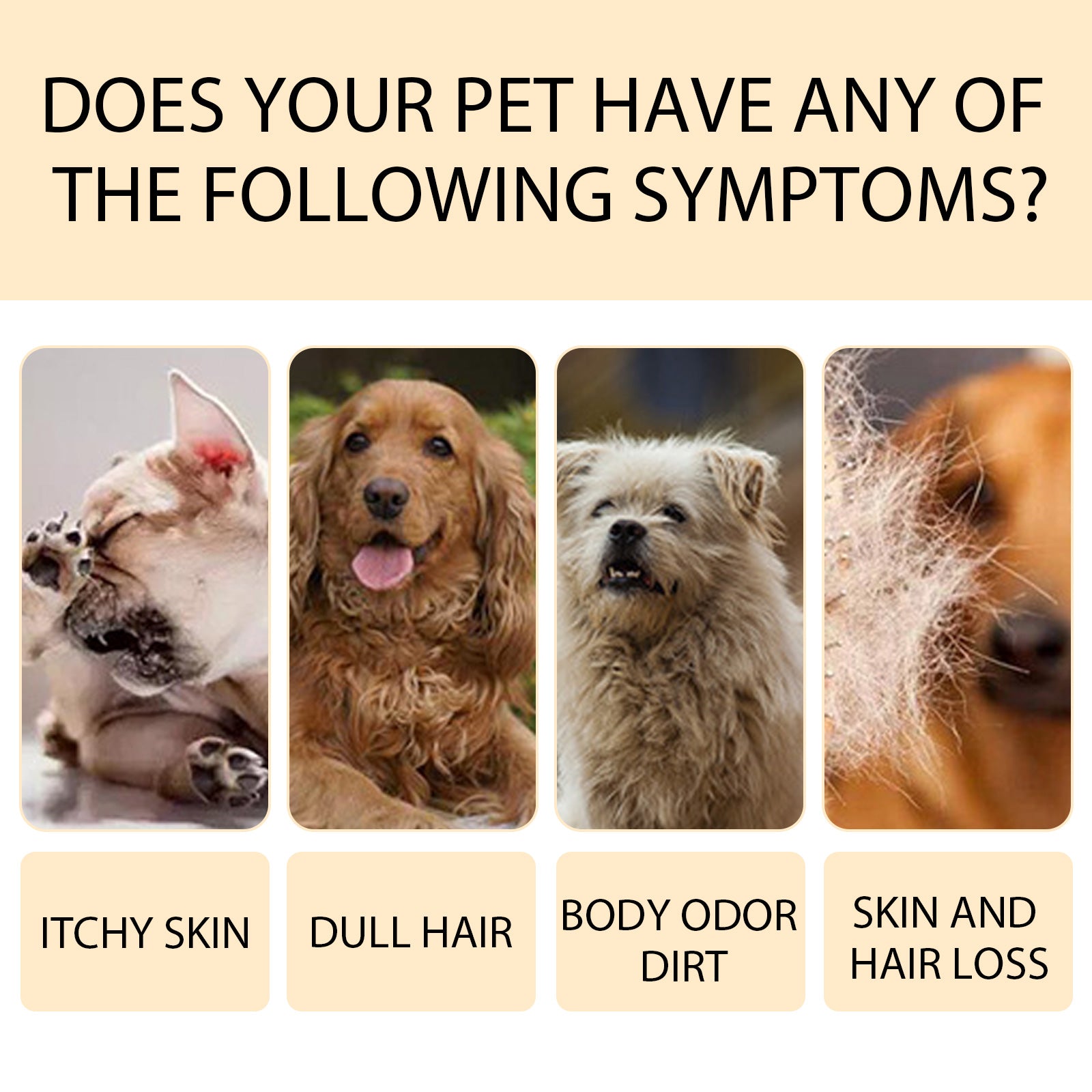Yegbong Pet Shampoo (100g) Is A Gentle And Cleansing Shampoo That Makes The Fur Of Pet Cats And Dogs Smooth And Free Of Tangles