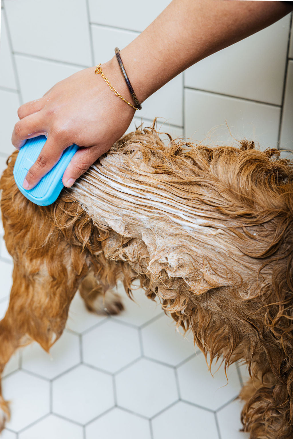 In Bloom (Dog Shampoo & Conditioner Duo)