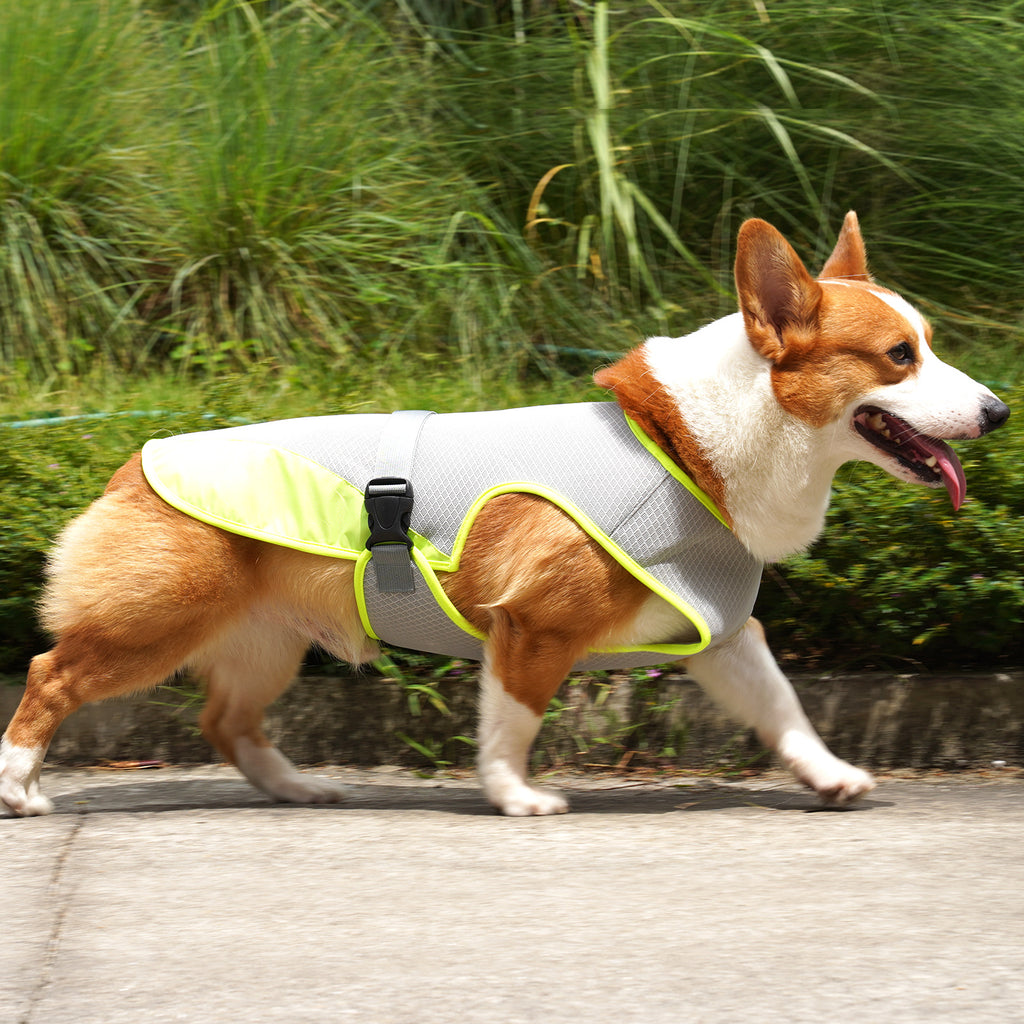 Cooling Vest for Dogs – Lightweight Summer Pet Wear