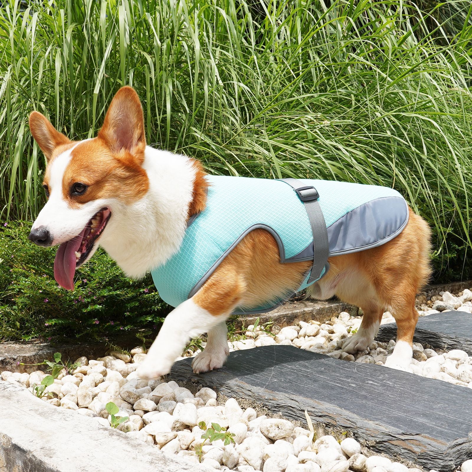 Cooling Vest for Dogs – Lightweight Summer Pet Wear